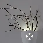Bed & Breakfast En Lanzarote Afrika Zen Yaiza (Lanzarote)