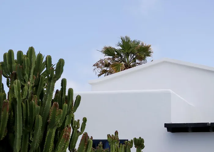 Bed & Breakfast En Lanzarote Afrika Zen